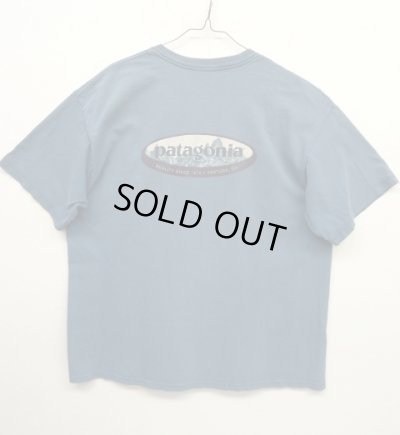 画像1: PATAGONIA 白タグ バックプリント ロゴ 半袖Tシャツ USA製 (USED)