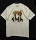 画像1: 90'S WILLIAM WEGMAN "ROLLER ROVER" FOTOFOLIO製 Tシャツ USA製 (VINTAGE) (1)