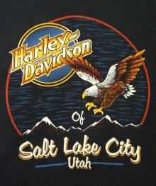 他の写真3: 80'S HARLEY DAVIDSON Tシャツ 両面プリント USA製 (VINTAGE)