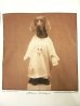 画像2: 90'S WILLIAM WEGMAN x amfAR（エイズ研究財団） "MASCOT" 半袖Tシャツ USA製 (VINTAGE) (2)