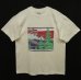 画像1: 80'S LL Bean シングルステッチ Tシャツ ホワイト USA製 (VINTAGE) (1)