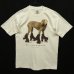 画像1: 90'S WILLIAM WEGMAN "ROLLER ROVER" FOTOFOLIO製 半袖 Tシャツ USA製 (VINTAGE) (1)