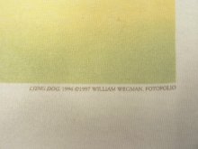 他の写真3: 90'S WILLIAM WEGMAN "LYING DOG" FOTOFOLIO製 長袖 Tシャツ ホワイト USA製 (VINTAGE)