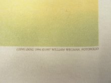 他の写真3: 90'S WILLIAM WEGMAN "LYING DOG" FOTOFOLIO製 長袖 Tシャツ ホワイト USA製 (VINTAGE)