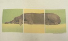 他の写真2: 90'S WILLIAM WEGMAN "LYING DOG" FOTOFOLIO製 長袖 Tシャツ ホワイト USA製 (VINTAGE)