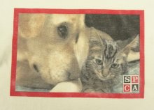 他の写真2: SPCA INTERNATIONAL (国際動物虐待防止協会) 半袖 フォトTシャツ ホワイト (VINTAGE)