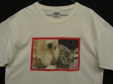 他の写真3: SPCA INTERNATIONAL (国際動物虐待防止協会) 半袖 フォトTシャツ ホワイト (VINTAGE)