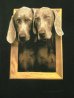 画像2: 90'S WILLIAM WEGMAN x ASPEN ART MUSEUM "FRAMED" FOTOFOLIO製 Tシャツ USA製 (VINTAGE) (2)