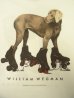 画像4: 90'S WILLIAM WEGMAN "ROLLER ROVER"  両面プリント FOTOFOLIO製 Tシャツ (DEADSTOCK) (4)