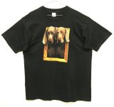 90'S WILLIAM WEGMAN x ASPEN ART MUSEUM "FRAMED" FOTOFOLIO製 Tシャツ USA製 (VINTAGE)