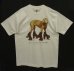 画像1: 90'S WILLIAM WEGMAN "ROLLER ROVER"  両面プリント FOTOFOLIO製 Tシャツ (DEADSTOCK) (1)