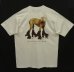 画像3: 90'S WILLIAM WEGMAN "ROLLER ROVER"  両面プリント FOTOFOLIO製 Tシャツ (DEADSTOCK) (3)