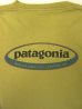 画像3: 90'S PATAGONIA 黒タグ オーバルロゴ バックプリント 長袖 Tシャツ ピスタチオ USA製 (VINTAGE) (3)