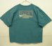 画像1: 90'S PATAGONIA 黒タグ バックプリント 半袖 Tシャツ ティール USA製 (VINTAGE) (1)