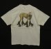 画像1: 90'S WILLIAM WEGMAN "ROLLER ROVER" FOTOFOLIO製 半袖 Tシャツ USA製 (VINTAGE) (1)