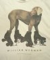 画像3: 90'S WILLIAM WEGMAN "ROLLER ROVER" FOTOFOLIO製 半袖 Tシャツ USA製 (VINTAGE) (3)