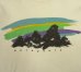 画像3: 80'S PATAGONIA 黒タグ 半袖 Tシャツ ホワイト USA製 (VINTAGE) (3)