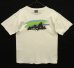 画像1: 80'S PATAGONIA 黒タグ 半袖 Tシャツ ホワイト USA製 (VINTAGE) (1)