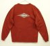 画像1: 90'S PATAGONIA BENEFICIAL T'S バックプリント 長袖 Tシャツ レンガ USA製 (VINTAGE) (1)