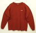 画像4: 90'S PATAGONIA BENEFICIAL T'S バックプリント 長袖 Tシャツ レンガ USA製 (VINTAGE) (4)