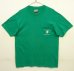 画像1: 80'S PARK TYATT "HANES製" シングルステッチ ポケット付き 半袖 Tシャツ グリーン USA製 (VINTAGE) (1)