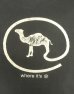 画像5: 90'S CAMEL シングルステッチ 両面プリント ポケット付き 半袖 Tシャツ フェードブラック USA製 (VINTAGE) (5)