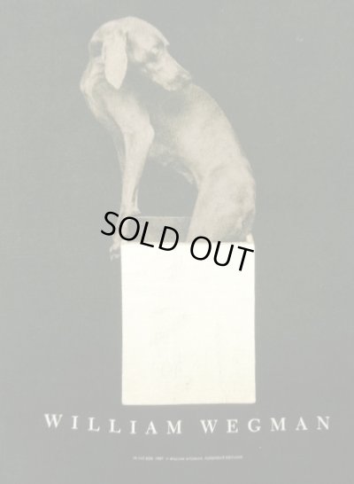 画像3: 90'S WILLIAM WEGMAN "IN THE BOX" FOTOFOLIO製 Tシャツ ブラック USA製 (VINTAGE)