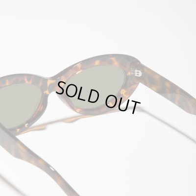 画像4: H OPTICAL "H-10" サングラス デミブラウン/グリーンレンズ (NEW)