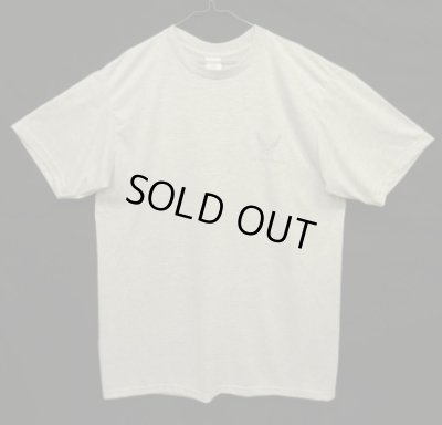 画像1: アメリカ軍 USAF (US AIR FORCE) 両面リフレクタープリント Tシャツ アッシュグレー (USED)