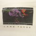 画像6: 90'S THIRTY TWO DEGREES BAR & GRILLE シングルステッチ 長袖 Tシャツ ホワイト USA製 (VINTAGE)