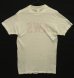 画像5: 60'S A.W.S. "STALLION by HEALTHKNIT" シングルステッチ 染み込みプリント 半袖 Tシャツ ホワイト USA製 (VINTAGE) (5)