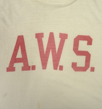 画像3: 60'S A.W.S. "STALLION by HEALTHKNIT" シングルステッチ 染み込みプリント 半袖 Tシャツ ホワイト USA製 (VINTAGE)
