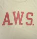 画像3: 60'S A.W.S. "STALLION by HEALTHKNIT" シングルステッチ 染み込みプリント 半袖 Tシャツ ホワイト USA製 (VINTAGE) (3)