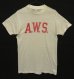 画像1: 60'S A.W.S. "STALLION by HEALTHKNIT" シングルステッチ 染み込みプリント 半袖 Tシャツ ホワイト USA製 (VINTAGE) (1)