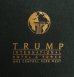画像3: 90'S TRUMP INTERNATIONAL ヘビーウエイト 半袖 Tシャツ ブラック USA製 (VINTAGE) (3)