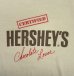 画像3: 80'S HERSHEY'S シングルステッチ 半袖 Tシャツ ホワイト USA製 (VINTAGE) (3)