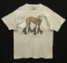 画像1: 90'S WILLIAM WEGMAN "ROLLER ROVER" FOTOFOLIO製 シングルステッチ 半袖 Tシャツ ホワイト USA製 (VINTAGE) (1)