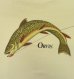 画像4: 90'S ORVIS バックプリント シングルステッチ 半袖 Tシャツ ナチュラル (VINTAGE) (4)