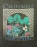 画像3: 80'S CALIFORNIA シングルステッチ 半袖 Tシャツ フェードブラック USA製 (VINTAGE) (3)