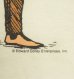 画像4: 00'S EDWARD GOREY コットン 半袖 Tシャツ ホワイト (VINTAGE) (4)