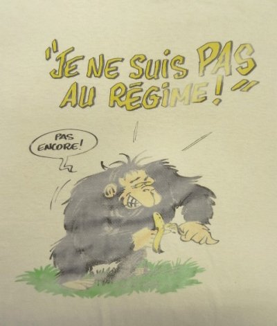 画像3: 90'S JE NE SUIS PAS AU REGIME シングルステッチ 半袖 Tシャツ ホワイト (VINTAGE)