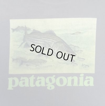 画像2: PATAGONIA バックプリント 半袖 Tシャツ フェードブルー USA製 (VINTAGE)