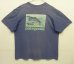 画像1: PATAGONIA バックプリント 半袖 Tシャツ フェードブルー USA製 (VINTAGE) (1)