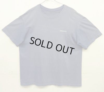 画像3: PATAGONIA バックプリント 半袖 Tシャツ フェードブルー USA製 (VINTAGE)