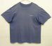 画像3: PATAGONIA バックプリント 半袖 Tシャツ フェードブルー USA製 (VINTAGE)
