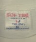 画像2: 90'S EAGLES "HELL FREEZES OVER 1995" シングルステッチ 半袖 Tシャツ ホワイト USA製 (VINTAGE) (2)