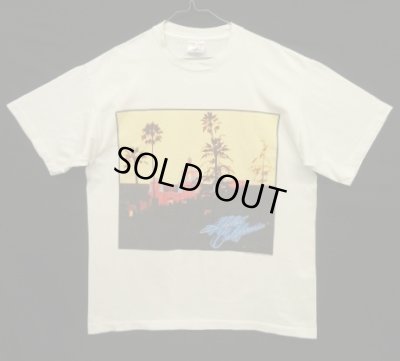 画像1: 90'S EAGLES "HELL FREEZES OVER 1995" シングルステッチ 半袖 Tシャツ ホワイト USA製 (VINTAGE)