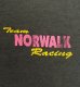 画像2: 80'S TEAM NORWALK RACING シングルステッチ 両面プリント 半袖 Tシャツ フェードブラック USA製 (VINTAGE) (2)