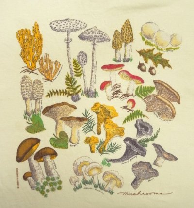 画像3: 00'S LIBERTY GRAPHICS "MUSHROOM" 染み込みプリント 半袖 Tシャツ ナチュラル (VINTAGE)
