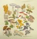 画像3: 00'S LIBERTY GRAPHICS "MUSHROOM" 染み込みプリント 半袖 Tシャツ ナチュラル (VINTAGE) (3)